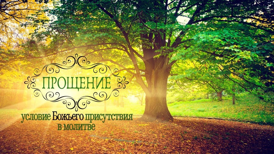 L58_SC29_Forgiveness Releasing Gods Presence
