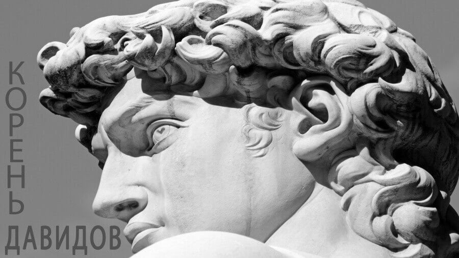 C80_NM31_Root of David