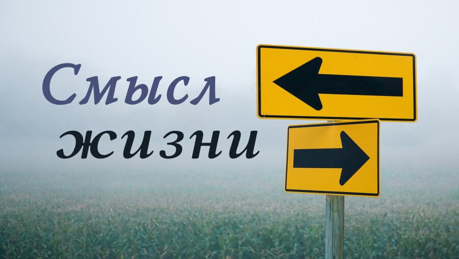 C83_RL44_The Purpose of Lifeweb2_RU