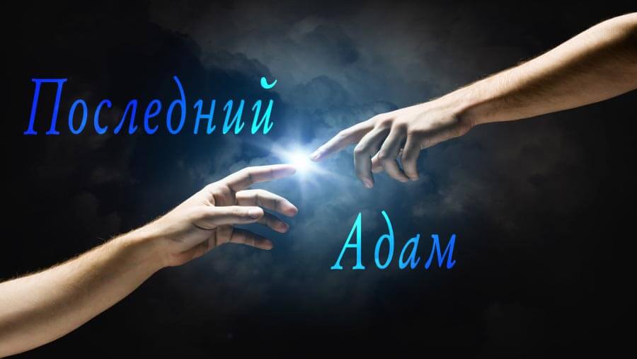 M16_NM35_Last Adam