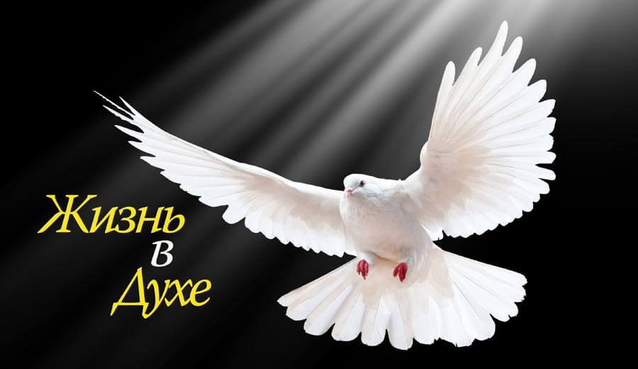 X79_RL24_Working in the Spiritblog_RU