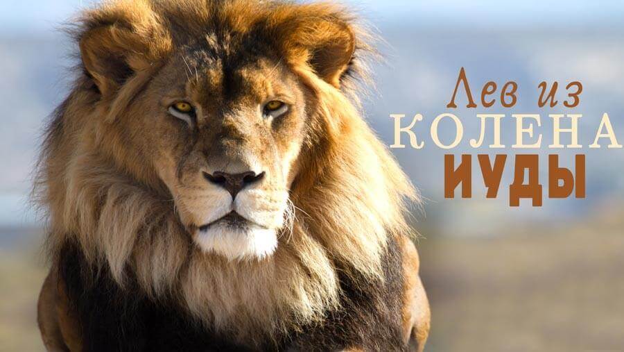 X83_NM30_The Lion of the Tribe of Judah_RU
